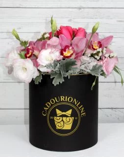 Орхидеи для тебя